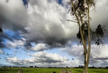 探索海南天涯社区网络科技股份有限公司的业务版图与创新方向