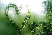 探索海南天涯社区网络科技股份有限公司的业务版图与创新方向